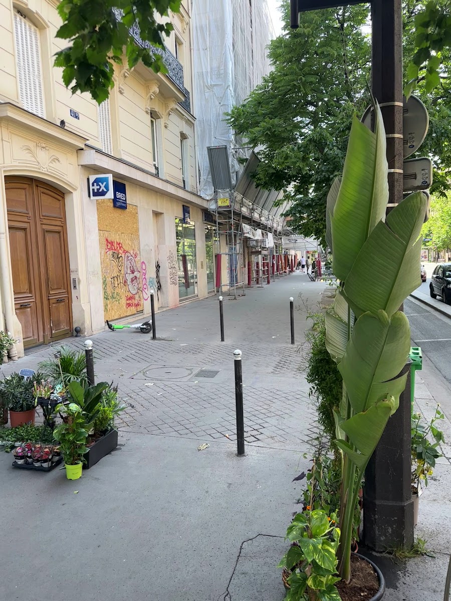 Plantes et feuillages de la boutique sur le trottoir du boulevard